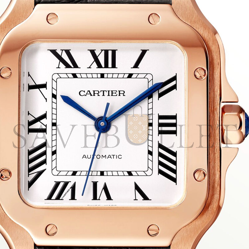 CARTIER SANTOS DE CARTIER WATCH WGSA0028